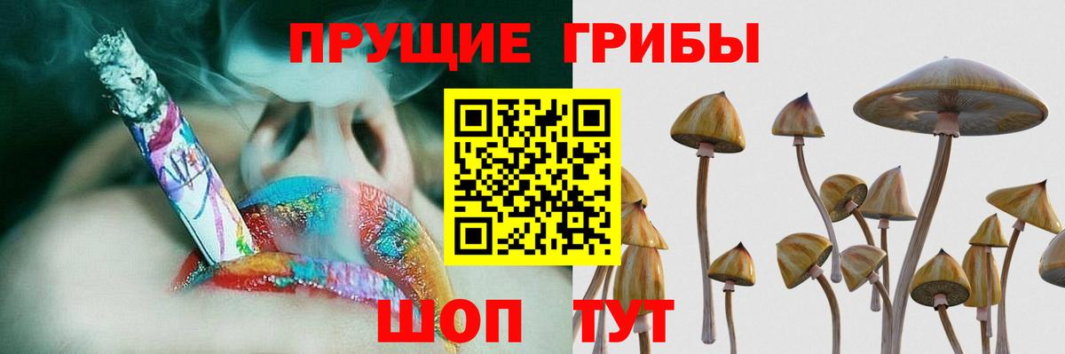 Обь  купить наркотик  Вход с VPN  Галлюциногенные грибы MAGIC MUSHROOMS 